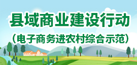 縣域商業(yè)建設(shè)（農(nóng)村電商示范）